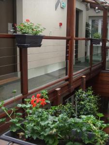 Hotels Hotel Elysees Flaubert : photos des chambres