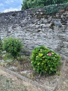 Maisons de vacances Downtown cozy cottage - 4 pl - : photos des chambres