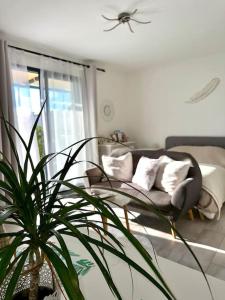 Appartements Les lauriers : photos des chambres