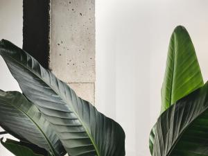 WISH SUITE AZAHAR DE SEVILLA