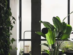 WISH SUITE AZAHAR DE SEVILLA