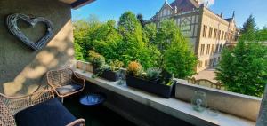 Dream Apartment Timisoara