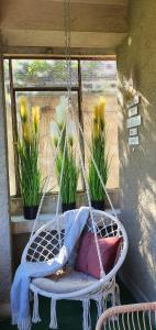 Dream Apartment Timisoara