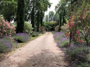 Maisons de vacances Magnifique Gite en provence : Maison 3 Chambres