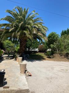 Maisons de vacances Maison des 5 Fleurs 14 pers : photos des chambres