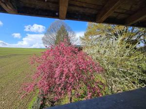 Maisons d'hotes Au Refuge Des 3 Ours - Chambres d'hotes et cabanes : photos des chambres