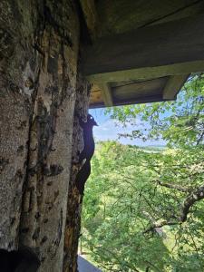 Maisons d'hotes Au Refuge Des 3 Ours - Chambres d'hotes et cabanes : photos des chambres