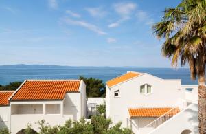 Bluesun Holiday Village Afrodita 