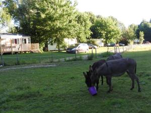 B&B / Chambres d'hotes Le Moulin De Saussaye : photos des chambres