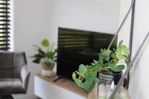 Waterfront Nieuwpoort