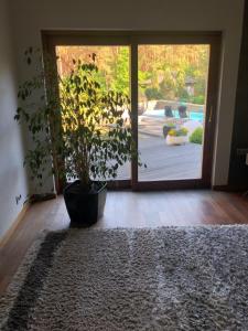 Apartament przy lesie