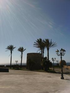 B&B 55 Alghero img29