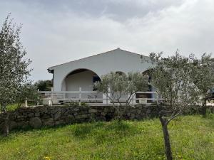 La casa nell'oliveto