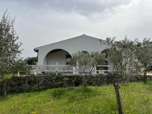 La casa nell'oliveto - Berchidda