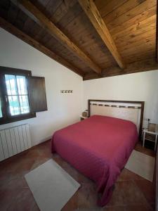 La casa nell'oliveto img15