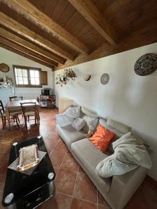 La casa nell'oliveto img11