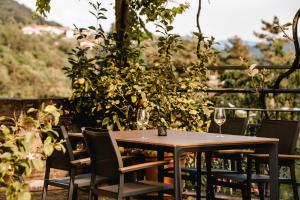 Vina Kobal, Kobal Family Estate