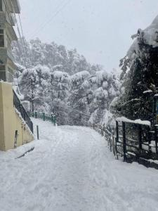 Silver Cedar BnB Sharma Niwas