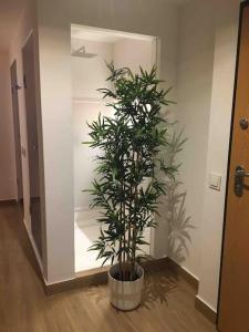 Great sea view apartment, near the beach, with AC and pools