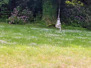 Chalet Forsthof Everstorf - kleine Wohnung