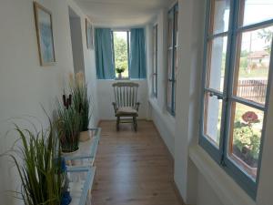 Tisza-tavi Kiserdő Vendégház