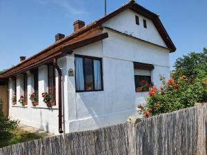 Tisza-tavi Kiserdő Vendégház