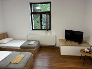 Pensiunea Dunarea Isaccea