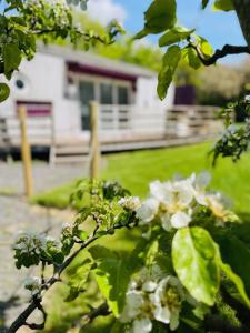 Purple CargoPod at Lee Wick Farm Cottages & Glamping