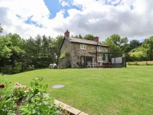 Cae Iocyn - Acrefair