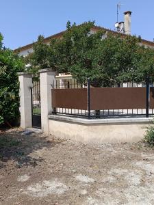 A lombre de lolivier