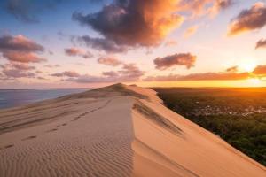 Maisons de vacances Maison familiale au coeur du bassin d'Arcachon : photos des chambres