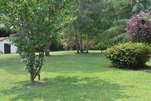 Appartements Les Bruyeres Gite : photos des chambres