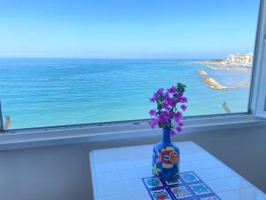 Attico Il Gabbiano (Centralissimo Porto di Anzio)