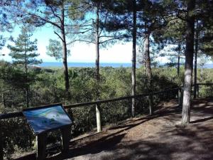 Maisons de vacances Maison avec jacuzzi et piscine a 900m plage, foret : photos des chambres