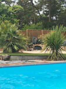 Maisons de vacances Maison avec jacuzzi et piscine a 900m plage, foret : photos des chambres