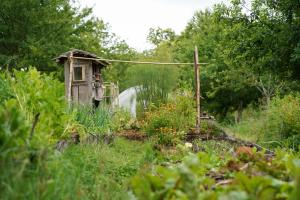 Maisons de vacances Belle et grande yourte dans une ferme en permaculture : photos des chambres