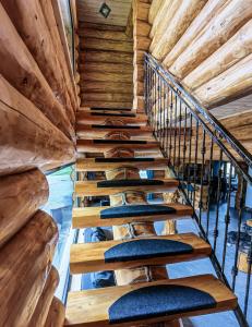 Cabana Arsita Poienii