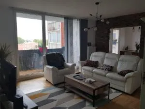 Bel appartement spacieux et lumineux - 格朗德桑特