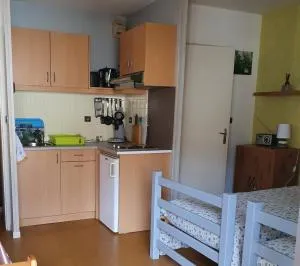 Studio 2 lits . 500m des thermes. 1 km du Lac - 巴布通莱班