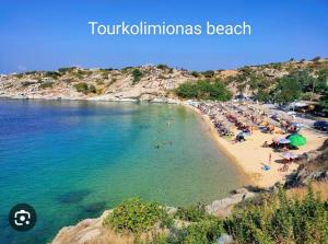 Peters traditional house