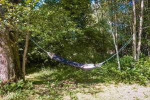 Chalets Mini-Glamping en Auvergne : photos des chambres