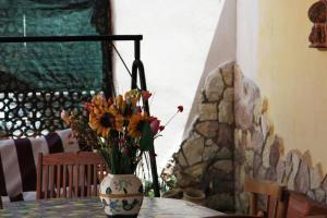 Villa Rosetta vacanze al mare