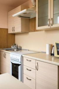 Apartments Most City Center