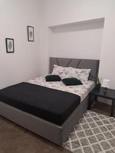 Двокімнатні апартаменти в центрі міста Лева