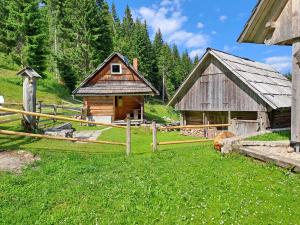 obrázek - Koča na planini Jelje - Pokljuka