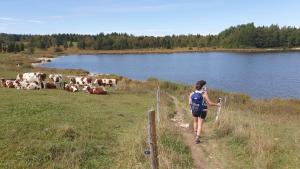 Maisons de vacances gite haut Jura : photos des chambres