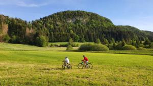 Maisons de vacances gite haut Jura : photos des chambres