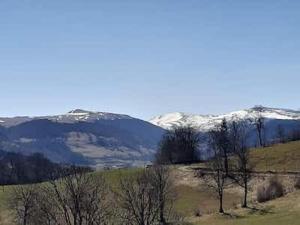 Maisons de vacances Au coeur des Monts du Cantal : photos des chambres