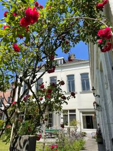 Bed & Breakfast By Genck