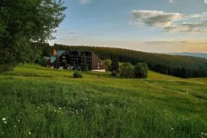 Hotel Tetřeví Boudy